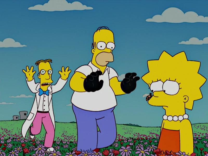 Симпсоны - 20 сезон - 8 серия